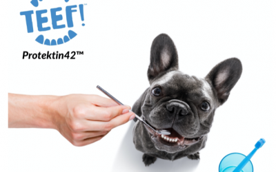 February is National Pet Dental Health Month – Yay!